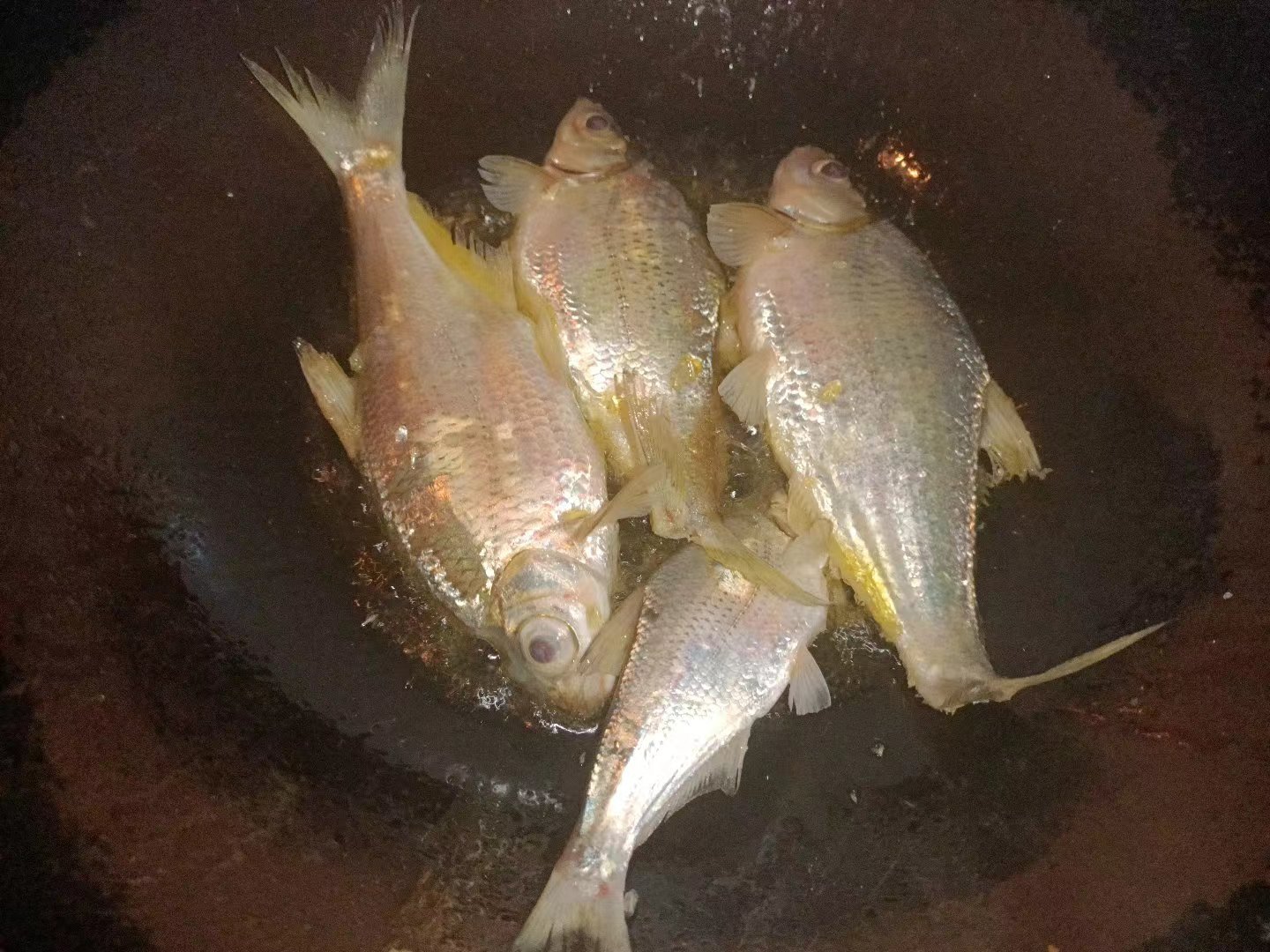 【独家揭秘】半水调漂，钓鱼新宠还是鸡肋？一探究竟！